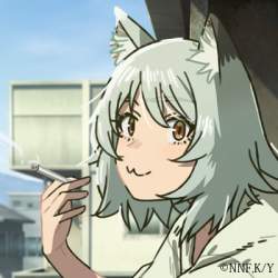 32796 B