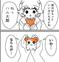 77877 B