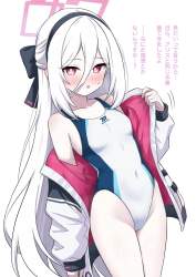 291151 B