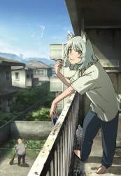 88123 B