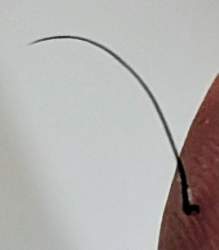 44183 B