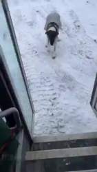 2871721 B