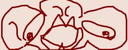 20118 B