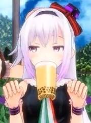 43306 B
