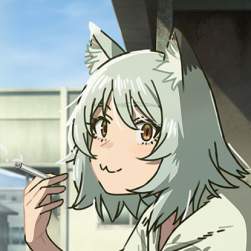 49432 B