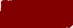 2504 B