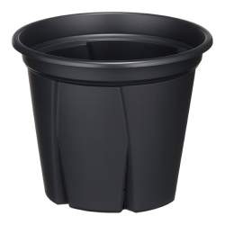 23767 B