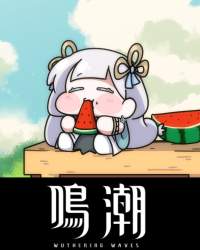1113871 B