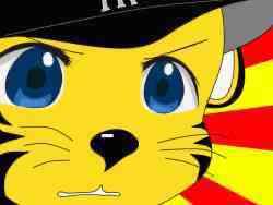72279 B