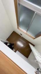 2906609 B