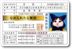 95559 B