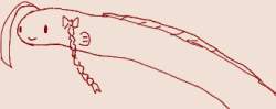 17437 B