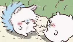 50391 B