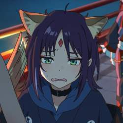 50498 B