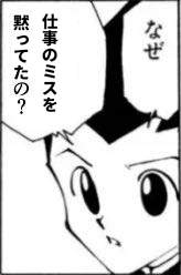 20667 B
