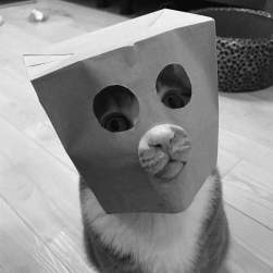 716607 B