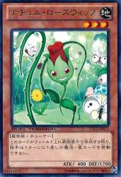 115556 B