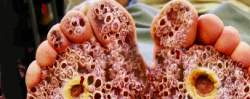 120550 B