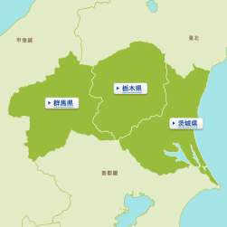 18534 B