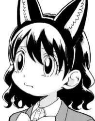 11443 B