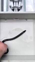 2140610 B