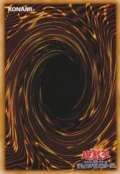 46262 B