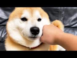 43192 B