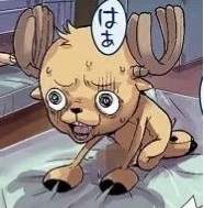 22070 B