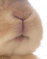 50699 B