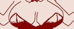 13605 B