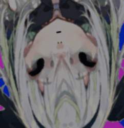 177336 B