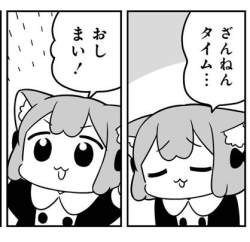 44484 B