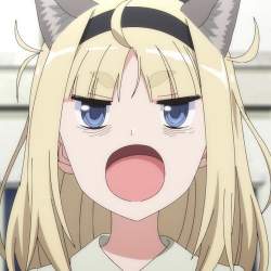 113467 B