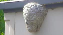 2257374 B