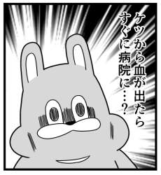 113263 B