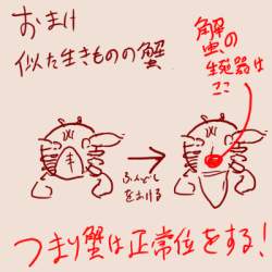 79470 B