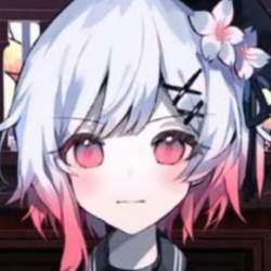 66265 B
