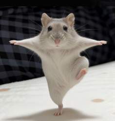 71312 B