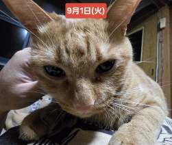 2486220 B