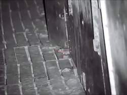 3003629 B