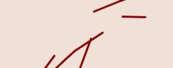 4529 B