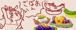 49504 B