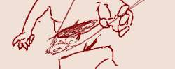 19718 B
