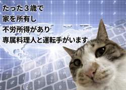 123878 B