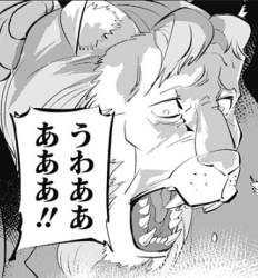 66243 B