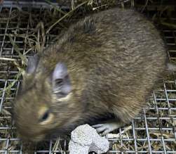 1344749 B
