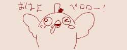 8081 B