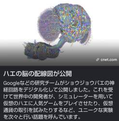 1342411 B