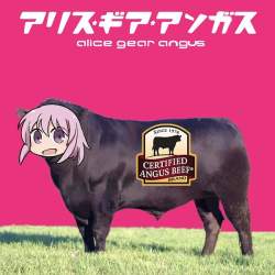 54277 B