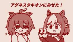 55533 B